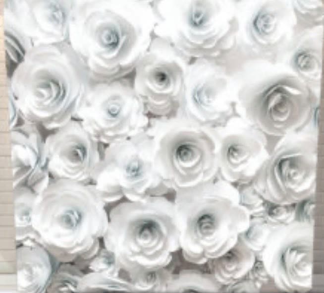 Pillow Case Backdrops
